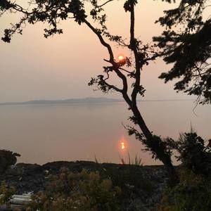 Meet your Posher, Bill